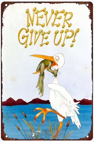 Never give frog art wall - art,